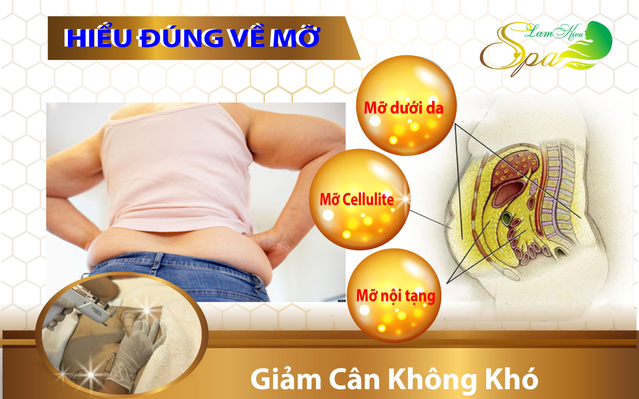 Dịch vụ Giảm Béo - Giảm Mỡ