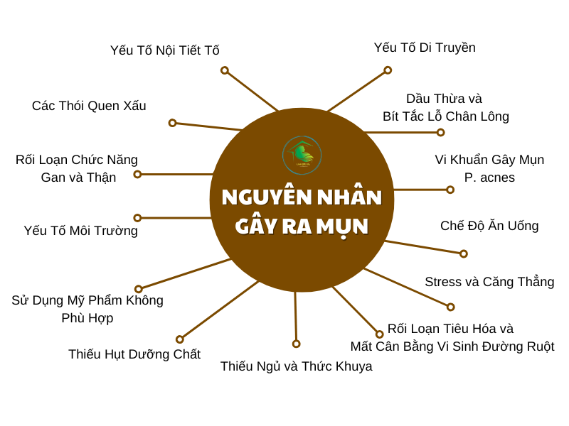 Các nguyên nhân và yếu tố làm mụn hình thành
